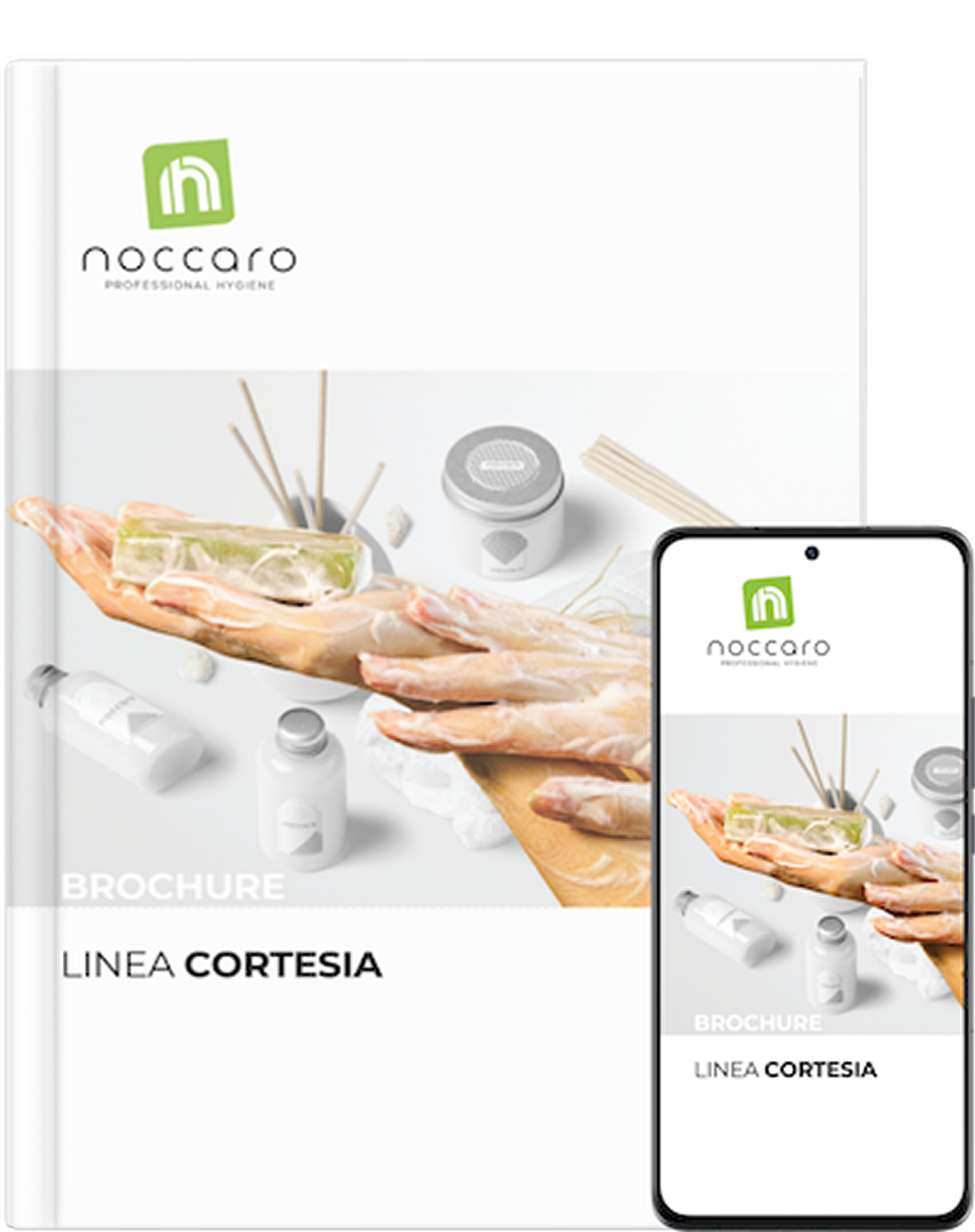 linea cortesia