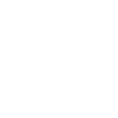 icona conoscenza totale