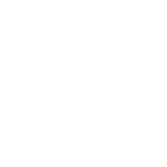 icona rispetto normative